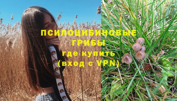 стаф Новодвинск