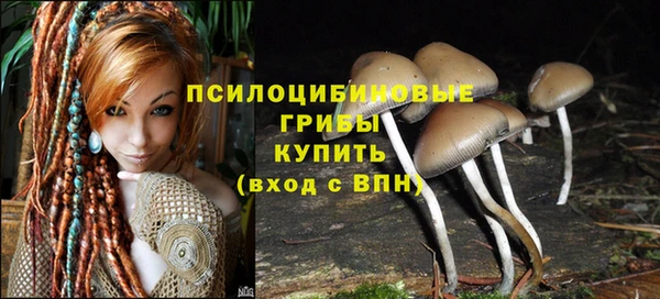 не бодяженный Нязепетровск