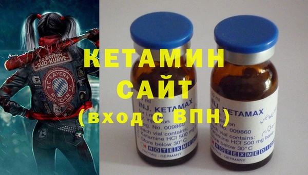 соль ск Новозыбков