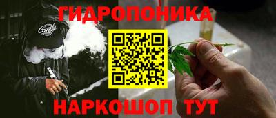 дурь Камышлов