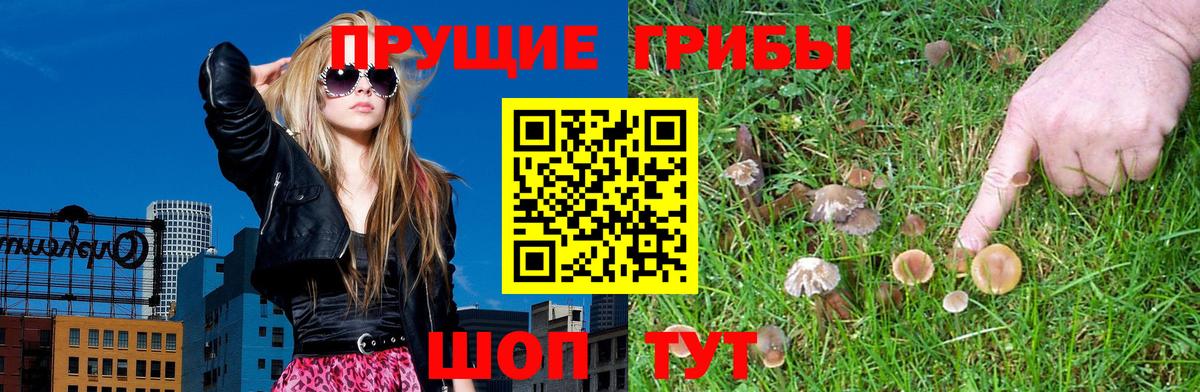 дарнет шоп  Псилоцибиновые грибы мухоморы  Вход с VPN  Ярославль 