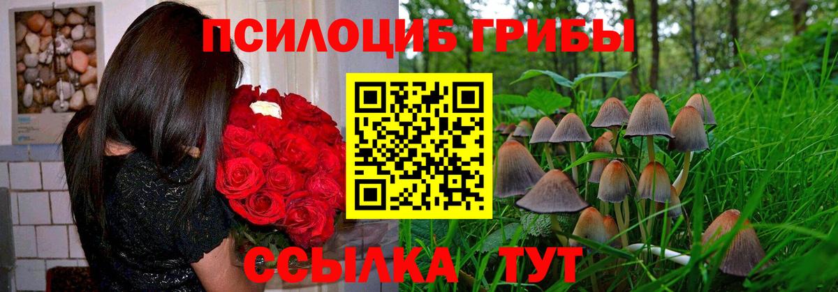 Cocaine  Лсд 25  ЭКСТАЗИ  Марихуана  Ярославль  МЕФ   ГАШ 