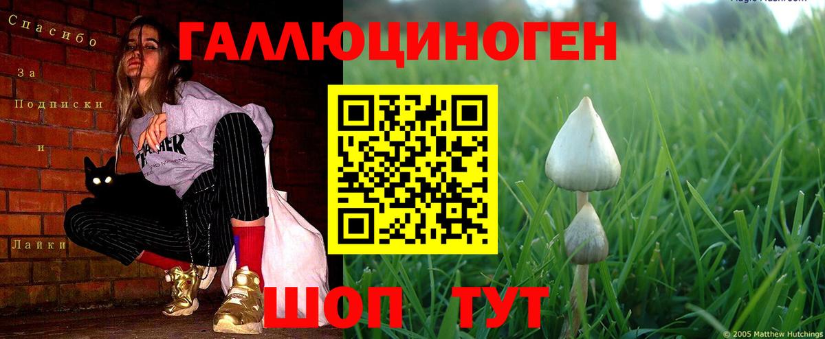 Псилоцибиновые грибы прущие грибы Ярославль